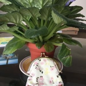 Coin Purse – Peyton